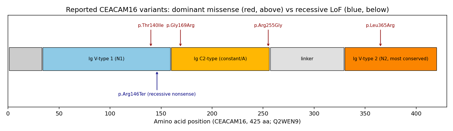 OpenScientist ceacam16 variant map