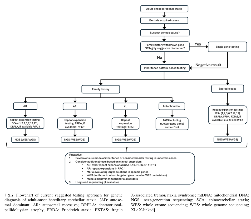 ## Context ID: pqac-00000045 Figure 2 on page 11 provides a comprehensive flowchart for the genetic diagnosis of adult-onset hereditary cerebellar ataxia. It ou
