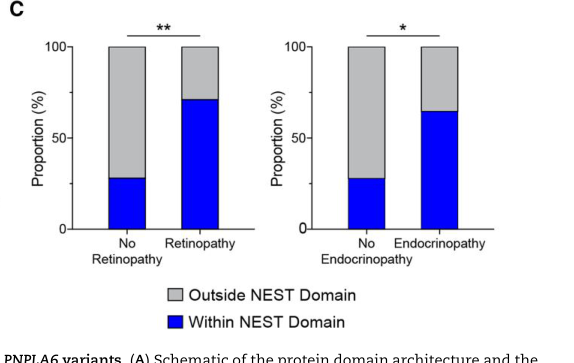 ## Context ID: pqac-00000016 The document provides several figures summarizing the relationships between PNPLA6 genotypes, neuropathy target esterase (NTE) acti