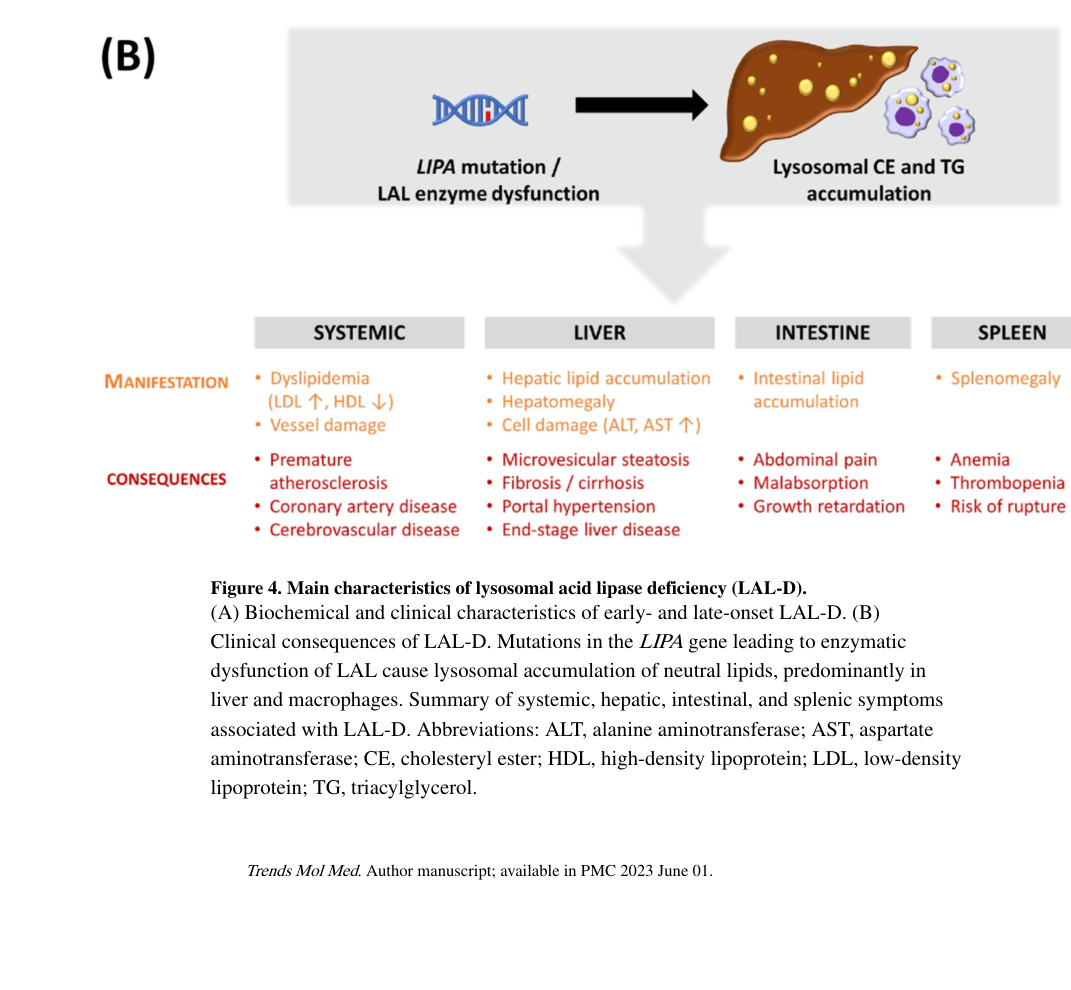 ## Context ID: pqac-00000019 Figure 4B, found on page 23, illustrates the clinical consequences and spectrum of lysosomal acid lipase deficiency (LAL-D), encomp