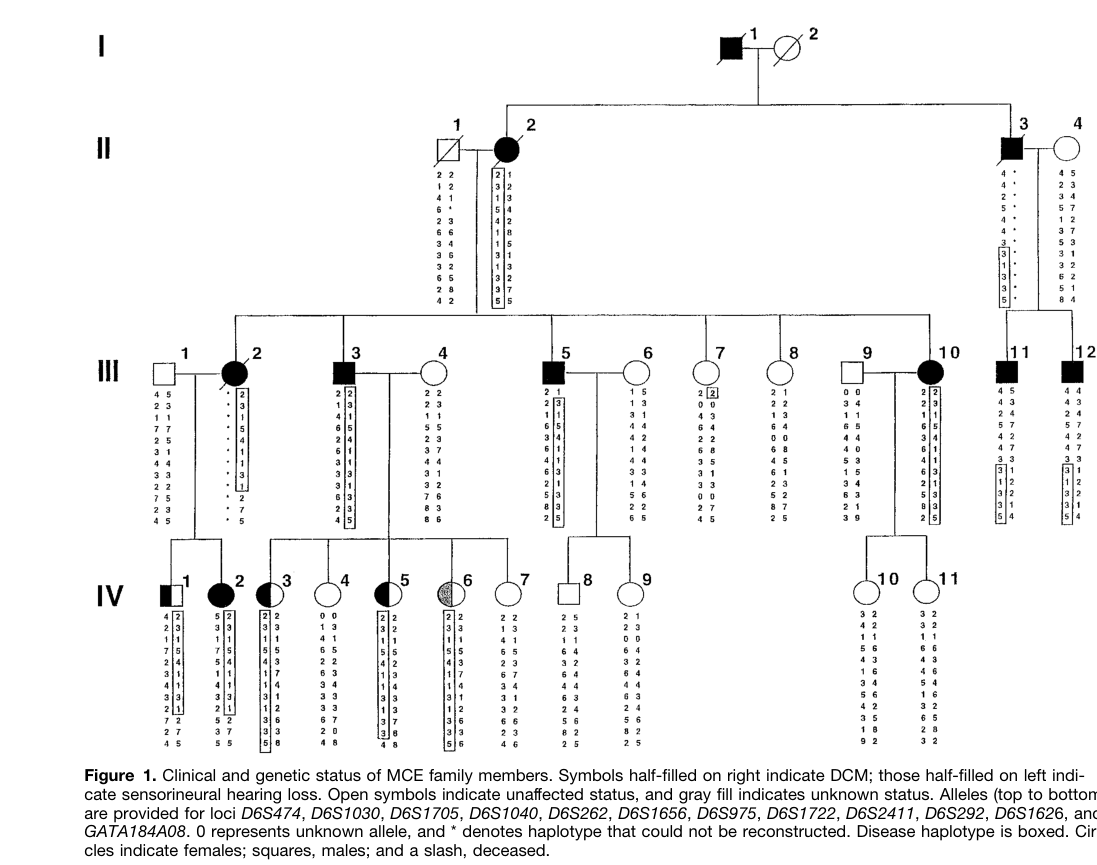 ## Context ID: pqac-00000019 I have extracted Figure 1, which shows the pedigree for family MCE and the inheritance of dilated cardiomyopathy (DCM) and sensorin