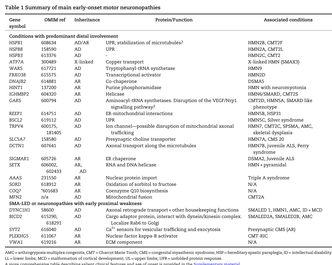 ## Context ID: pqac-00000032 Table 1 (page 807) summarizes the main genes involved in early-onset hereditary motor neuronopathies (HMN), including their inherit