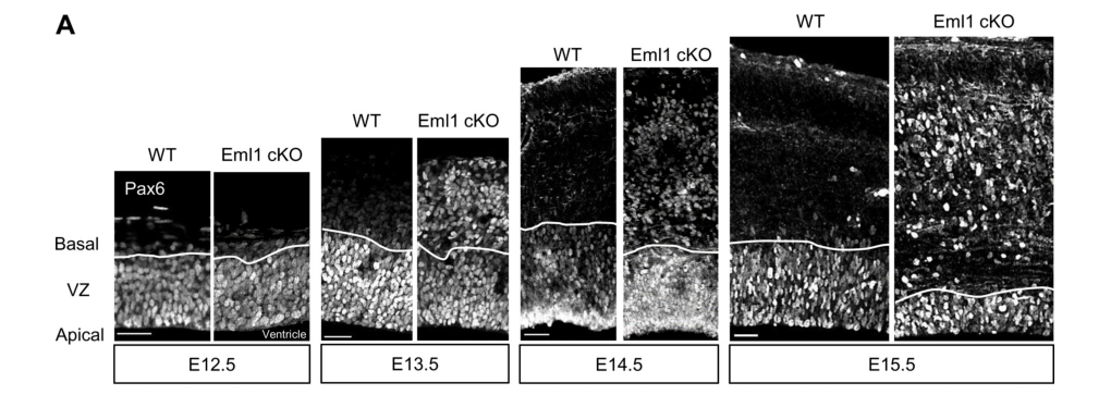 ## Context ID: pqac-00000036 The requested visual content can be found in Figures 1 and 8 of the document. - **Figure 1A** (in the first cropped image) displays