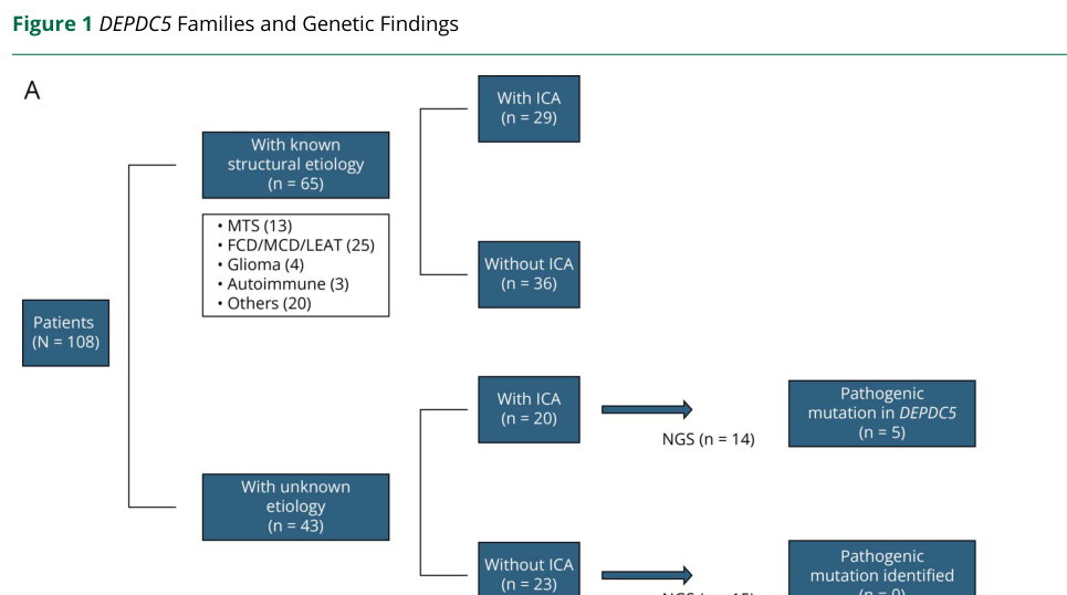 ## Context ID: pqac-00000018 I have extracted Figure 1 (DEPDC5 families and genetic findings) and the clinical features table. - **Figure 1 Panel A**: Flowchart