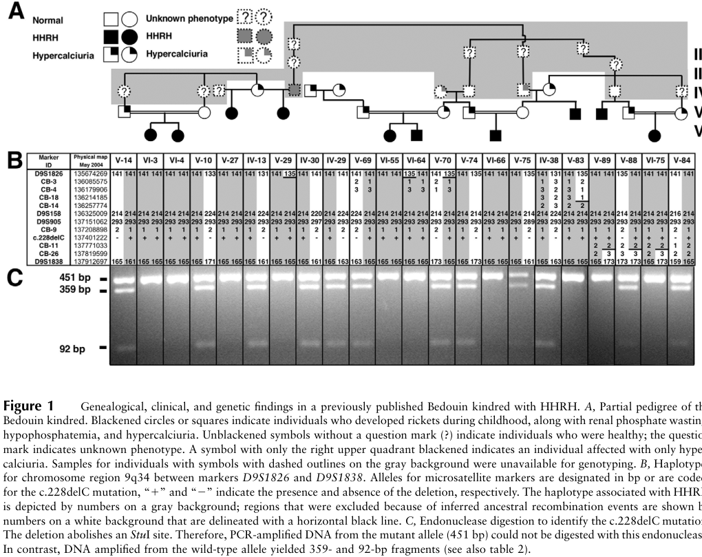 ## Context ID: pqac-00000019 The requested Figure 1 from the document, which includes the pedigree of the Bedouin HHRH kindred, the haplotypes for chromosome re