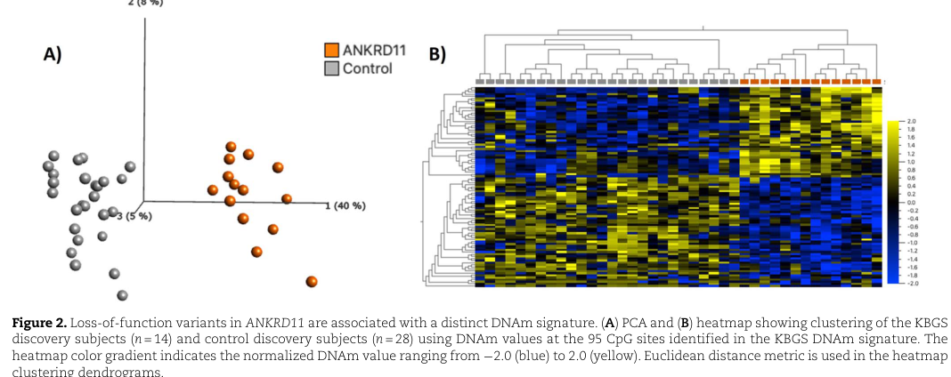 ## Context ID: pqac-00000046 Figure 2 displays the 95 CpG DNA methylation signature for KBG syndrome, illustrating how these sites distinguish individuals with 