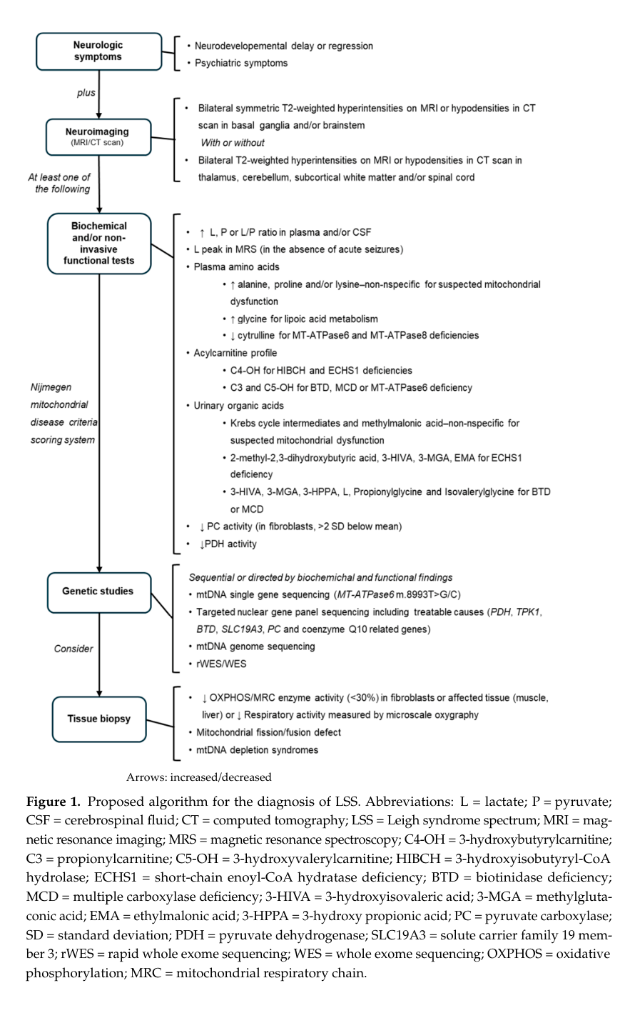 ## Context ID: pqac-00000022 Figure 1 summarizes the diagnostic algorithm for Leigh syndrome spectrum (LSS). It includes specific neuroimaging criteria, highlig
