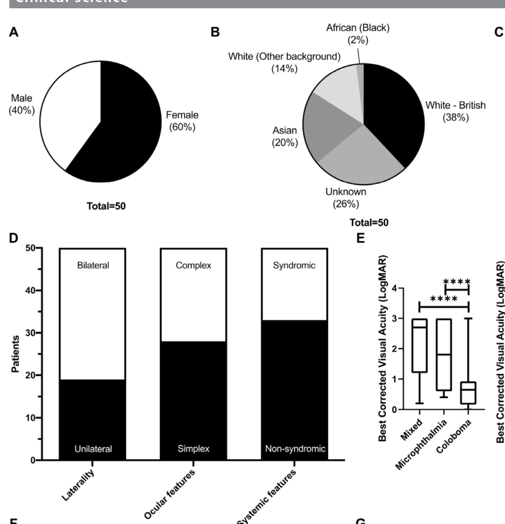 ## Context ID: pqac-00000028 The requested panels from Figure 1 and the gene testing yield charts from Figure 2 are provided. Figure 1 panels A and B show demog