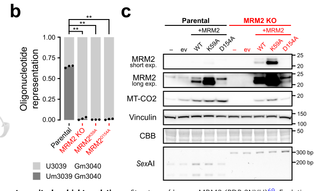 ## Context ID: pqac-00000028 The requested panels b and c of Figure 6 are shown in the provided image. Figure 6b displays the quantification of 2′-O-methylation