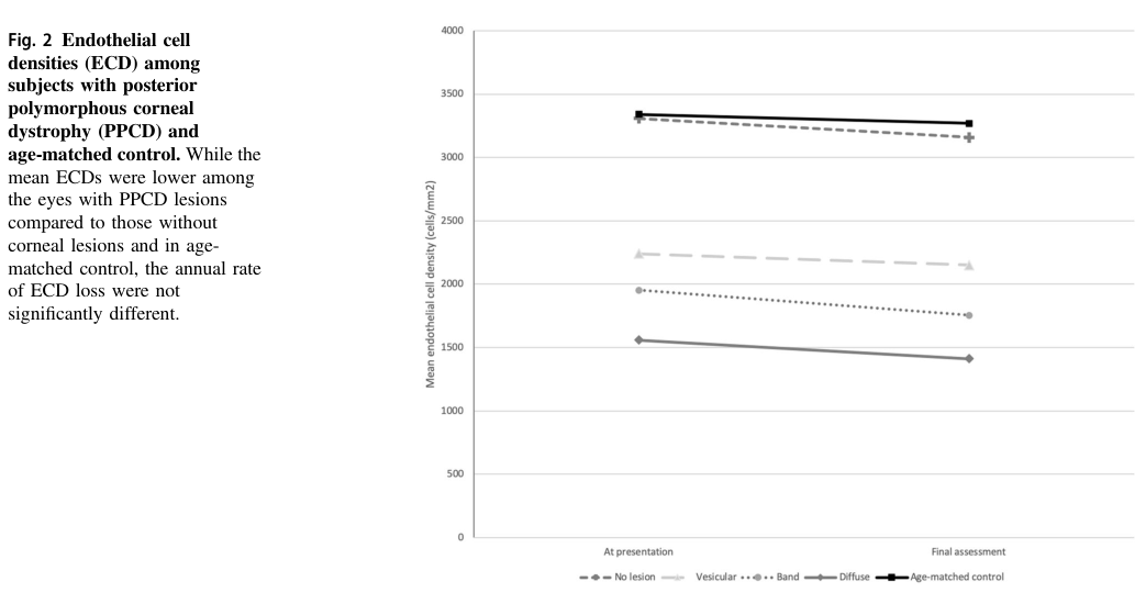 ## Context ID: pqac-00000018 Table 3 and Figure 2 present the endothelial cell density (ECD) values for different lesion subtypes (vesicular, band, diffuse, and