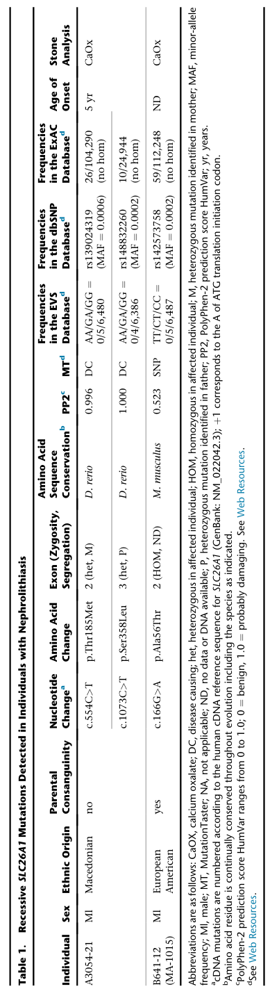 ## Context ID: pqac-00000031 Table 1 provides information on mutations in SLC26A1 for individuals A3054-21 and B641-12, including their sex, age of onset, ExAC 