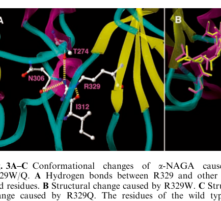 ## Context ID: pqac-00000057 The document contains figures illustrating NAGA mutations and immunostaining for Tn-antigen and LAMP-1. - Figure 5A (image-009) pro