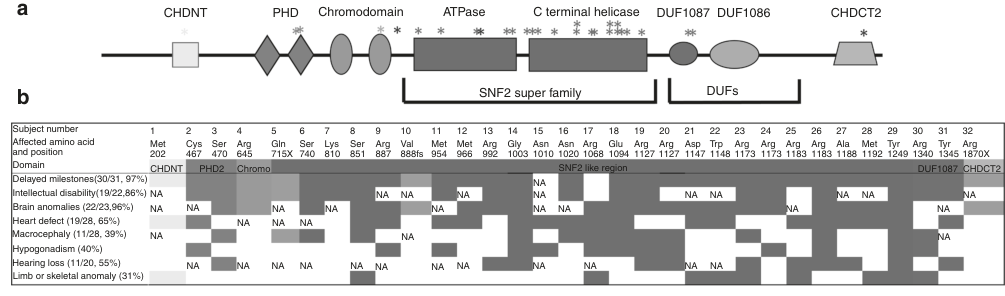 ## Context ID: pqac-00000038 The requested information is found in Figure 1 and Figure 2 of the document. Figure 1 provides a schematic of the CHD4 protein doma