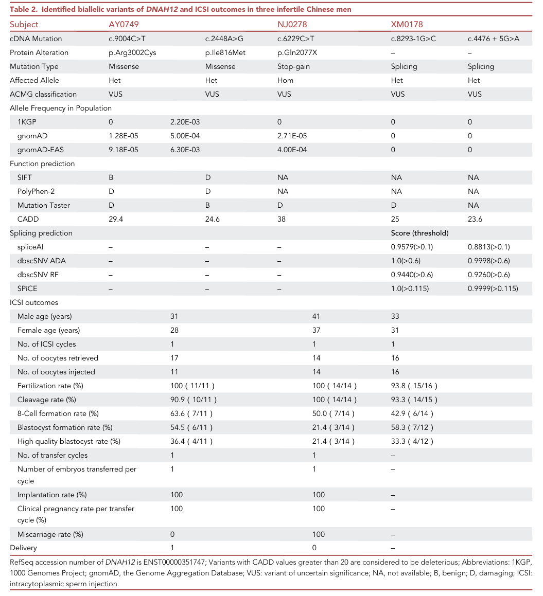 ## Context ID: pqac-00000044 Table 2 from page 6 provides the requested information on DNAH12 biallelic variants for subjects AY0749, NJ0278, and XM0178, along 