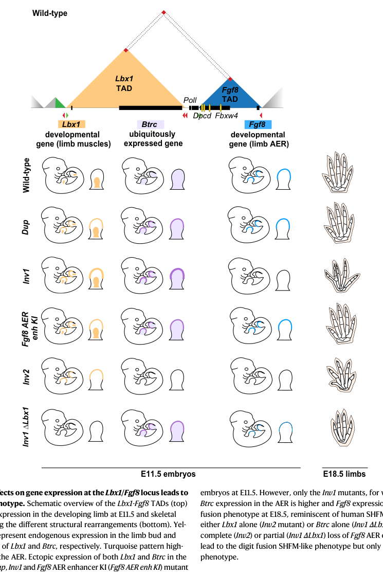 ## Context ID: pqac-00000051 The requested information is primarily captured in Figure 7 (a summary schematic) and Figure 1 (detailing the engineering and chrom