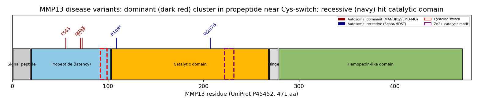 OpenScientist mmp13 variant map