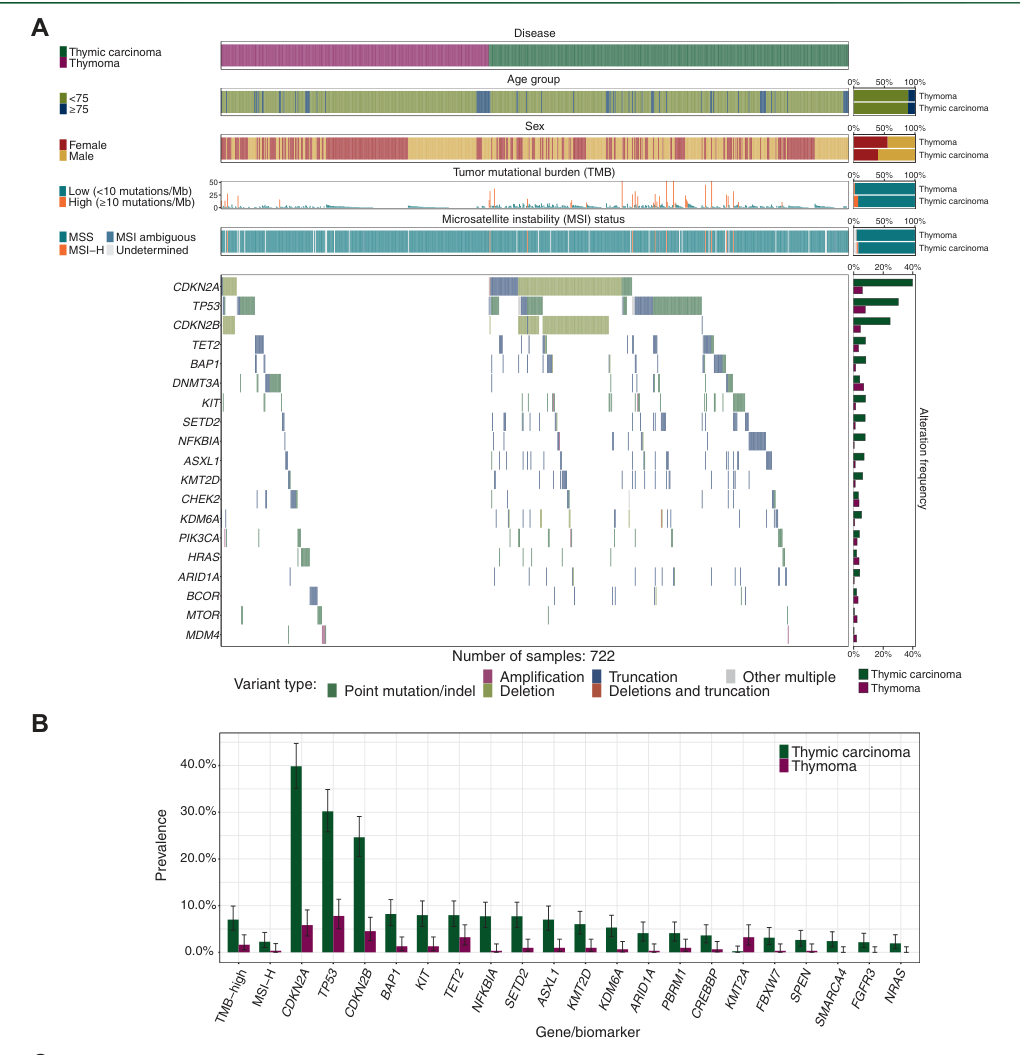 ## Context ID: pqac-00000017 Figure 1 from the document shows the comparative landscape of genomic alterations in thymic carcinoma and thymoma. Panel A is a til