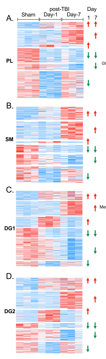 ## Context ID: pqac-00000027 The requested heatmaps showing hippocampal subregion-specific spatial proteomic changes after TBI are located in Figure 2. Specific