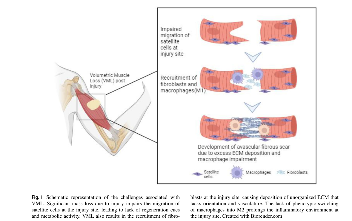 ## Context ID: pqac-00000025 The requested information is summarized in the following figures and tables: - **Figure 1** provides a schematic representation of 
